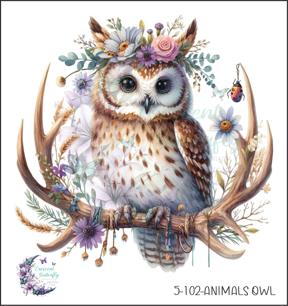 5-102-Animals Owl UV DTF Decal