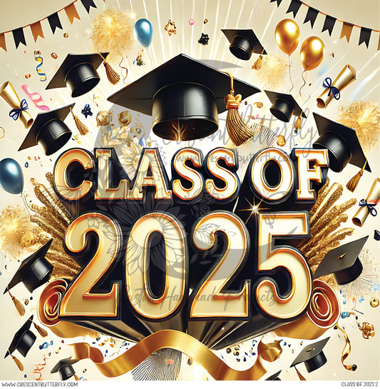 Class of 2025 2 Printed Vinyl Sheet/Wrap