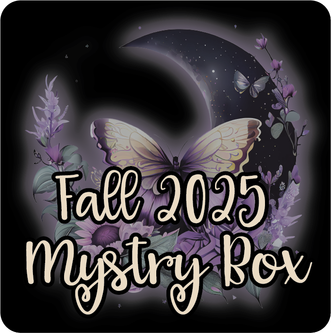 Fall 2025 Mystery Box