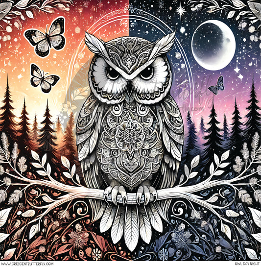 Owl Day Night Printed Vinyl Sheet/Wrap