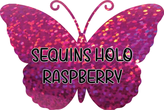 Sequins Holographic Raspberry Pre-Cut Pinstripe Vinyl Sheet