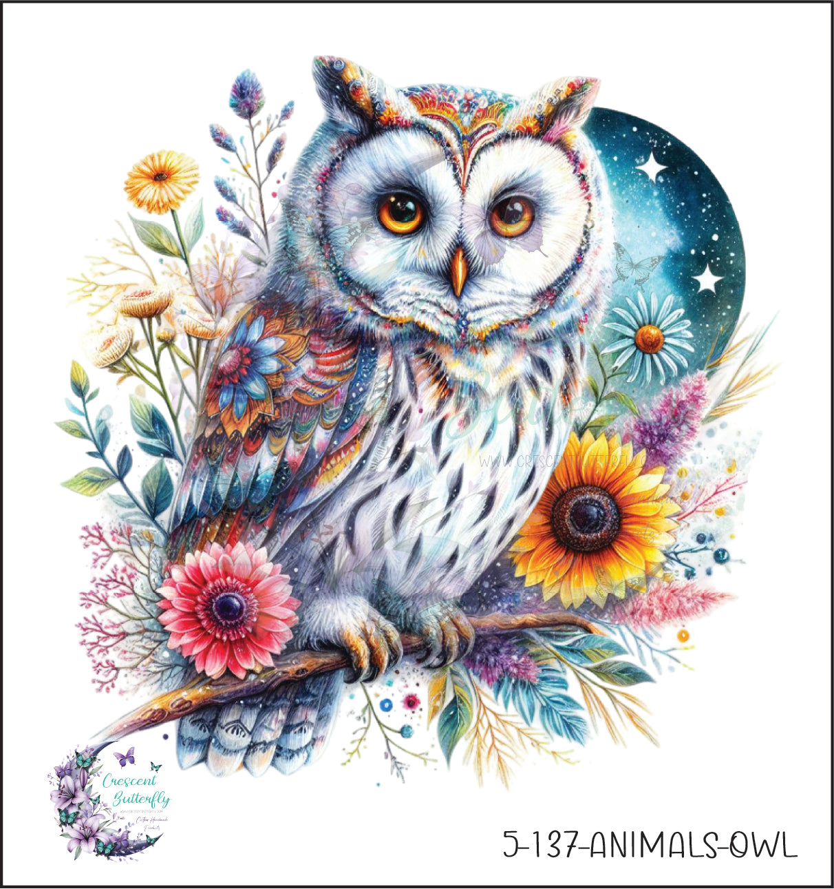 5-137-Animals-Owl UV DTF Decal