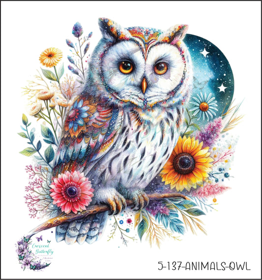 5-137-Animals-Owl UV DTF Decal