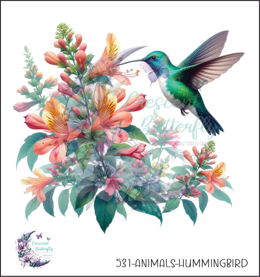 531-Animals-HummingBird UV DTF Decal