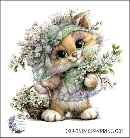 539-Animals-Spring Cat UV DTF Decal