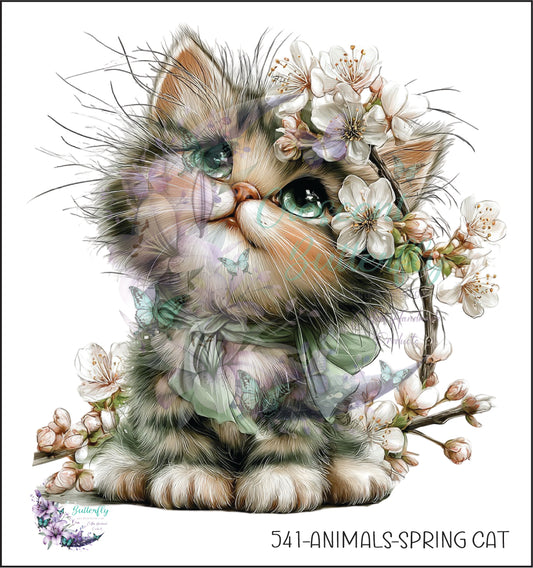 541-Animals-Spring Cat UV DTF Decal