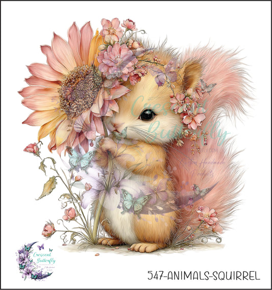 547-Animals-Squirrel UV DTF Decal