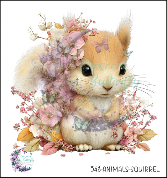 548-Animals-Squirrel UV DTF Decal
