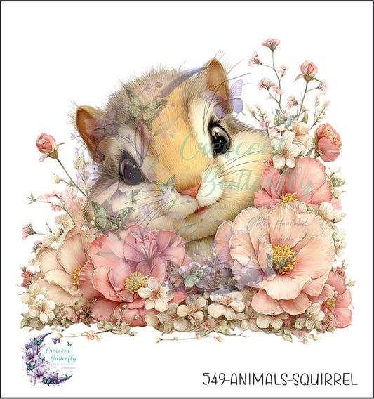 549-Animals-Squirrel UV DTF Decal