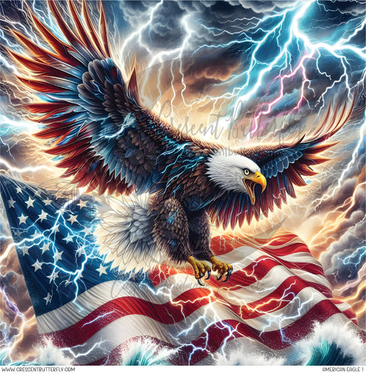 American Eagle 1 Printed Vinyl Sheet/Wrap