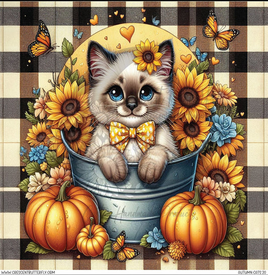 Autumn Cats 20 Printed Vinyl Sheet/Wrap